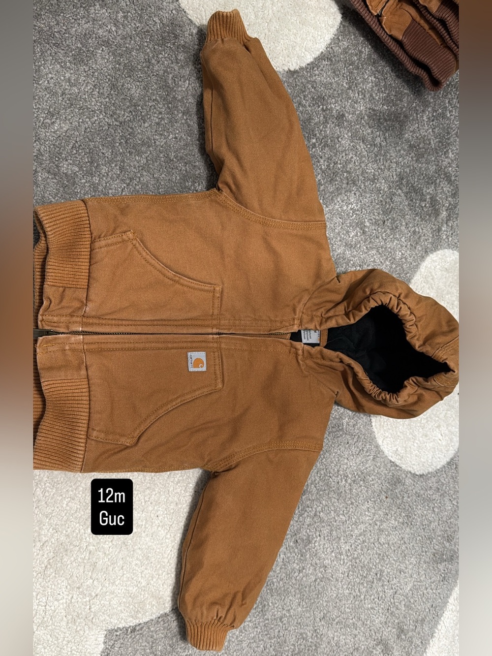 Carhartt Toddler Hooded Jacket in Brown